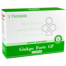 Препарат для кровообращения Santegra Ginkgo Forte GP 60 капсул